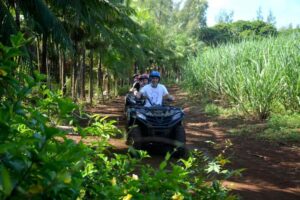 2-Hour Quad Bike Tour of the Wild South of Mauritius - The Wild South Ride: 11 Miles of Trails You Actually Feel