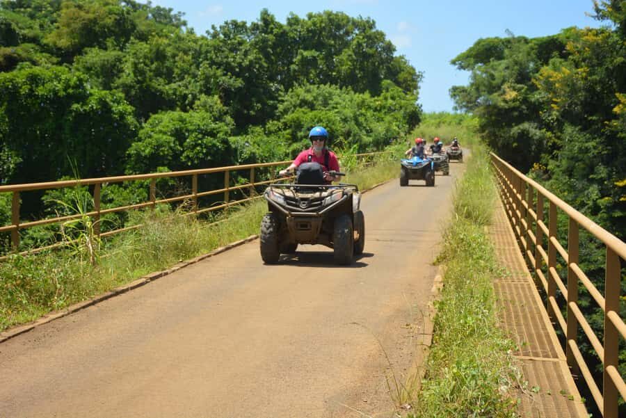 2-Hour Quad Bike Tour of the Wild South of Mauritius - Price and Value: Is $132 Fair for a 2-Hour Quad Ride?