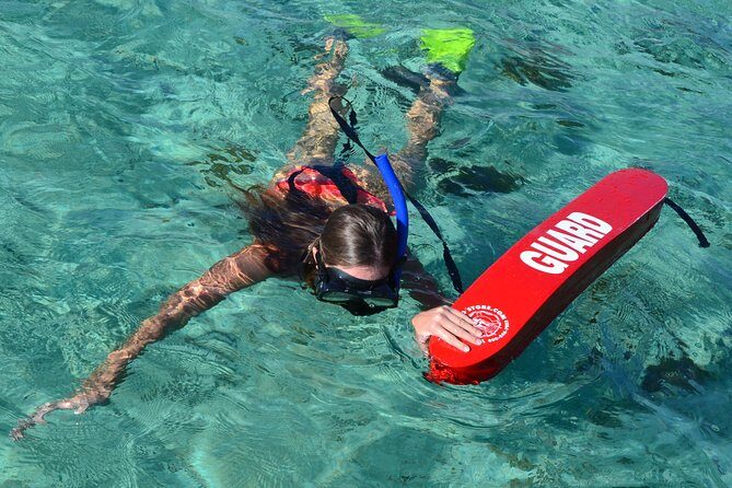 2-Hours Dolphin Excursion in Mauritius - Price and value: is $63.97 a fair deal?