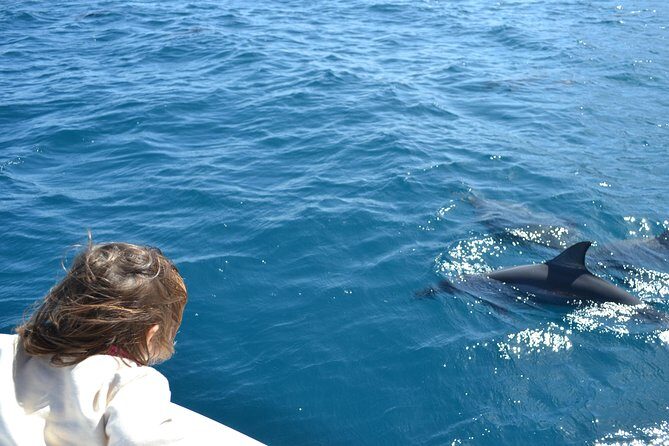 2-Hours Dolphin Excursion in Mauritius - Speedboat hopping: Black River or Tamarin Bay