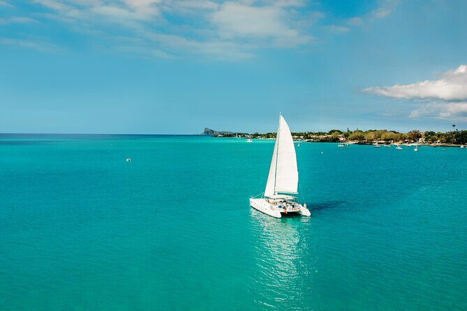 3 North Islands Catamaran Cruise with Lunch & Drinks on island. - Coin de Mire (Gunners Quoin): the best snorkeling stop, if the captain says yes