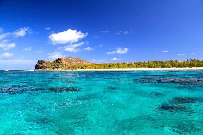 3 North Islands Catamaran Cruise with Lunch & Drinks on island. - Snorkeling tips: how to get the most out of the natural aquarium setup
