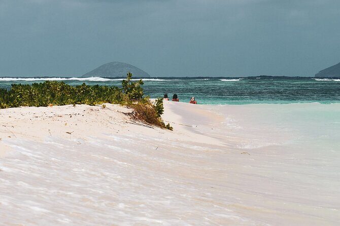 3 North Islands Catamaran Cruise with Lunch & Drinks on island. - Price and value: what $58.08 buys you (and why it can be worth it)