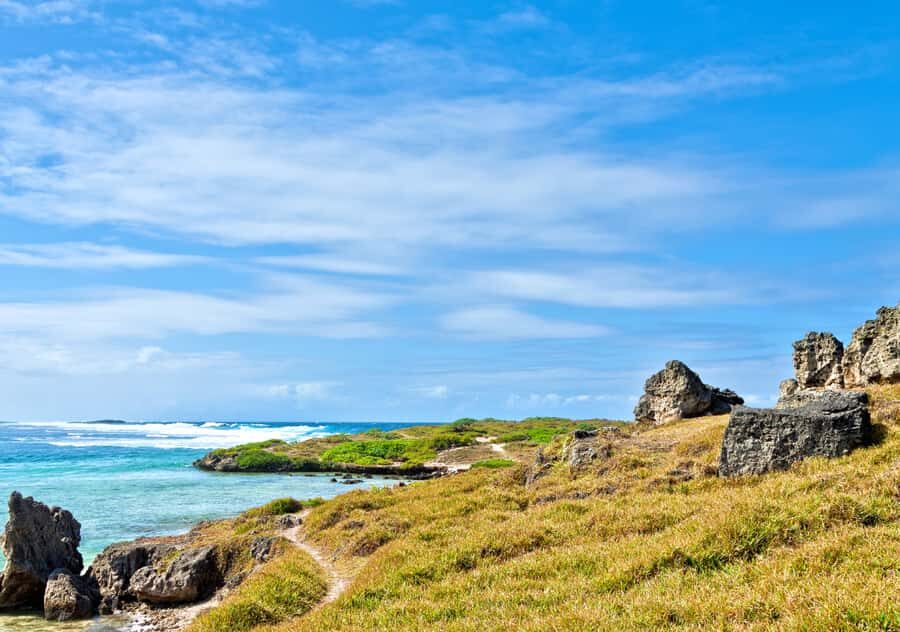 5 Islands Boat Trip, Snorkeling and Lunch on Ile aux Cerfs - Lunch on board and drinks: fueled for the last leg