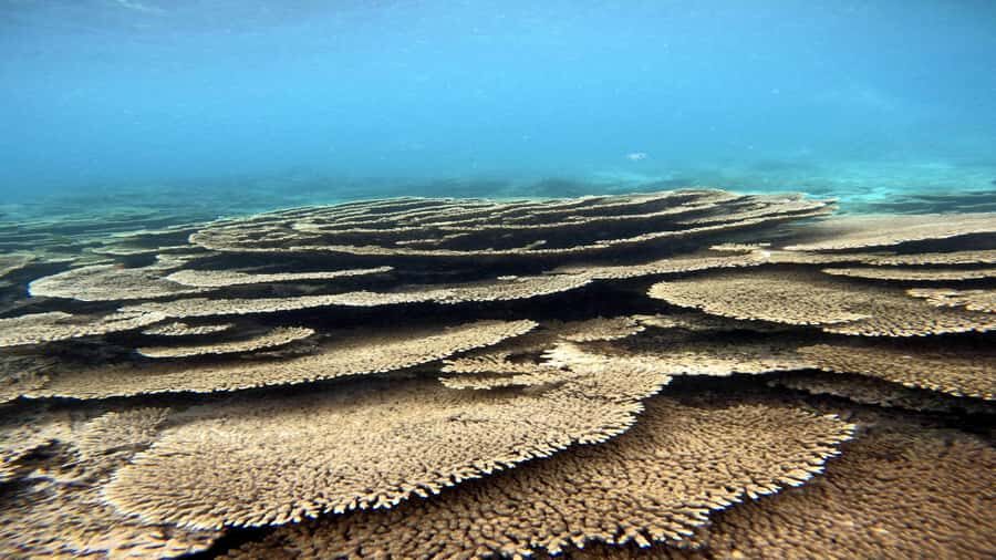 5 Islands Private Speedboat w/ Snorkeling + Lunch & Drinks - Route Overview: Trou d’Eau Douce, Five Islands, and a Full 9 Hours
