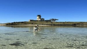 5 Islands Private Speedboat w/ Snorkeling + Lunch & Drinks - Ile aux Cerfs: The Two-Part Island Time (and Why It Matters)