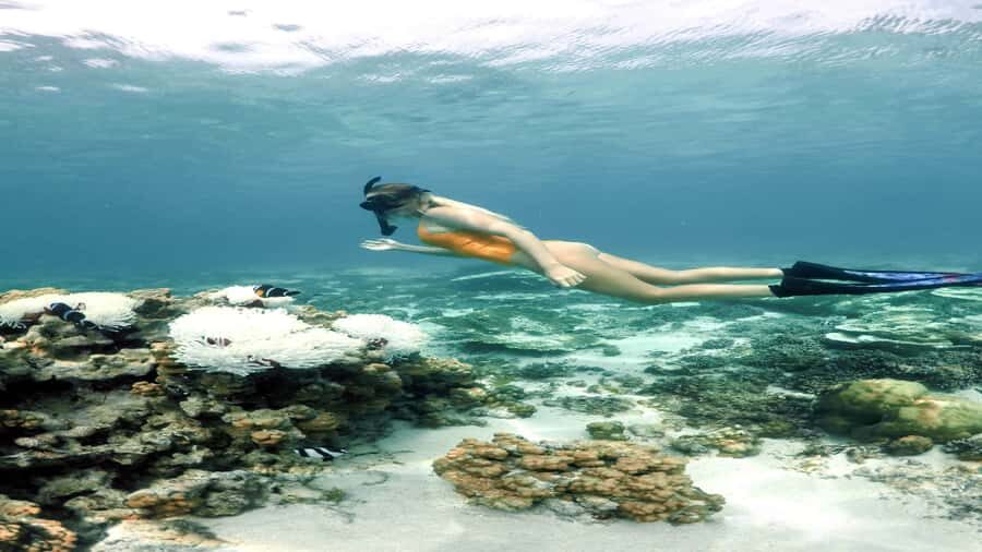 5 Islands Private Speedboat w/ Snorkeling + Lunch & Drinks - More Islands to See: Ile aux Phares and Ile de La Passe