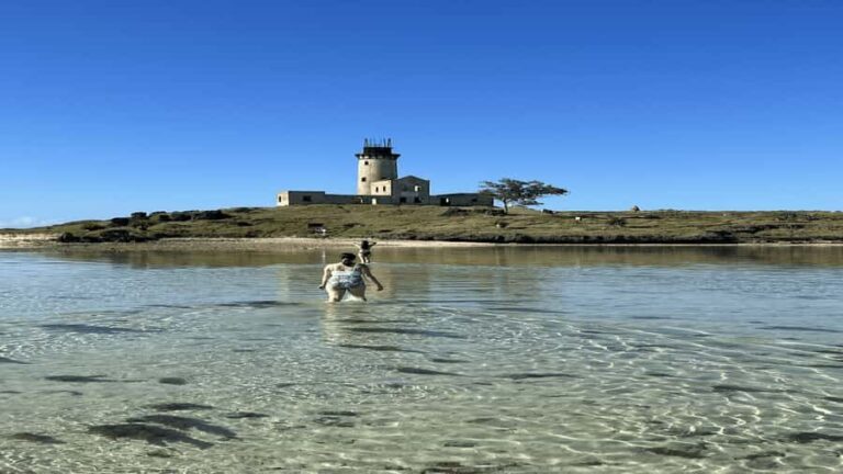 5 Islands Private Speedboat w/ Snorkeling + Lunch & Drinks - Ile aux Cerfs: The Two-Part Island Time (and Why It Matters)