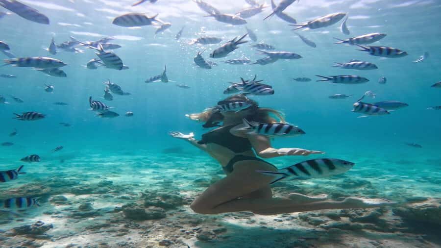 5 Islands Private Speedboat w/ Snorkeling + Lunch & Drinks - Guide Language and the Private-Group Reality