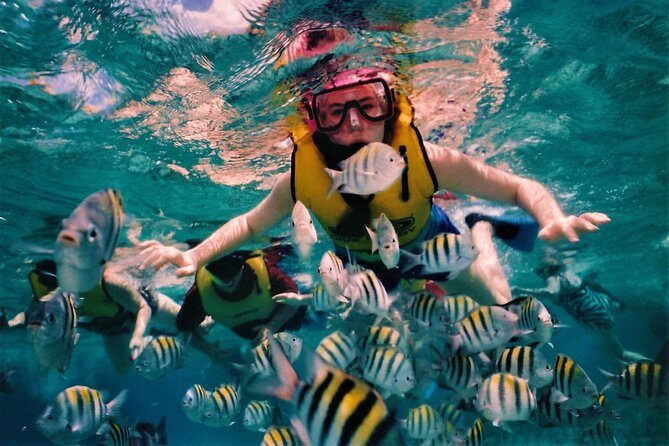 5 Islands Speedboat Cruise incl. Snorkeling in Blue Bay + Lunch at Ile aux Cerfs - Ile aux Aigrettes: short nature reserve stop with an open-bar perk