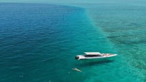 5 Islands Speedboat w/Snorkeling Sea Turtle + Lunch & Drinks - Ile aux Cerfs, Waterfalls, Monkeys: Your 9-Hour Route Step by Step