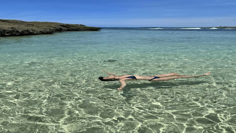 5 Islands Speedboat w/Snorkeling Sea Turtle + Lunch & Drinks - Wildlife and Iconic Spots: Dolphins, Monkeys, and the “Nature Controls the Schedule” Factor