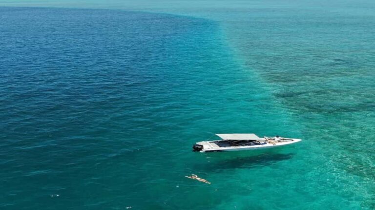5 Islands Speedboat w/Snorkeling Sea Turtle + Lunch & Drinks - Ile aux Cerfs, Waterfalls, Monkeys: Your 9-Hour Route Step by Step