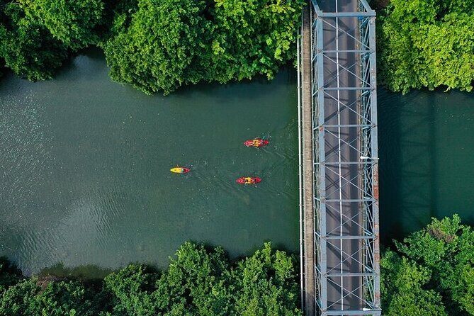 Afternoon Guided Kayak Activity on the Tamarin River - Wildlife and mangroves: monkeys, ducks, moorhens, and more