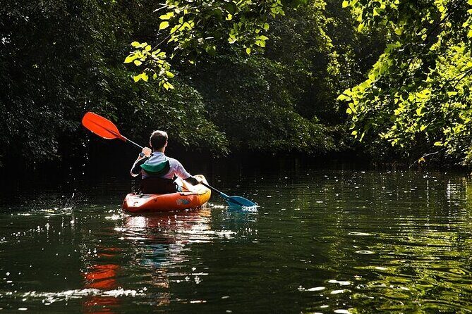 Afternoon Guided Kayak Activity on the Tamarin River - Gear, effort level, and who this suits best