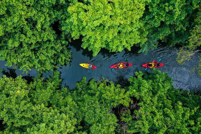 Afternoon Guided Kayak Tour on the Tamarin River - Paddling Starts at Tamarin Bay Surfschool Mauritius