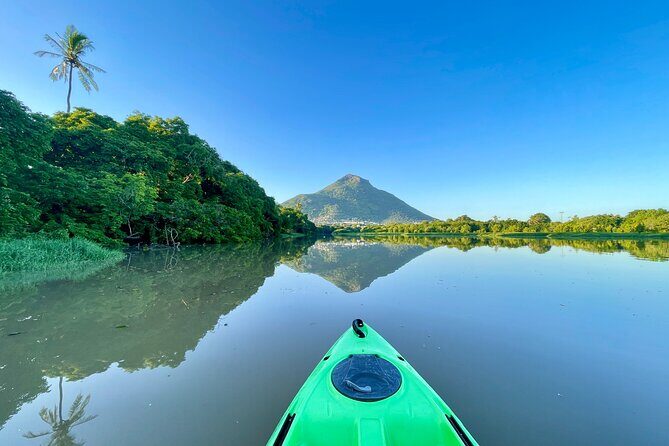 Afternoon Guided Kayak Tour on the Tamarin River - Price and Value: Is $48.85 a Fair Trade?