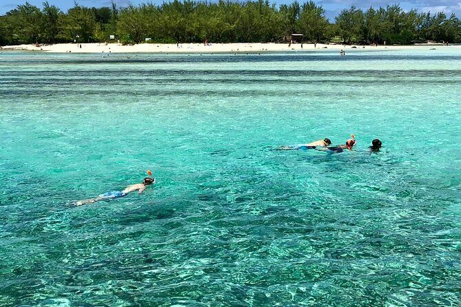 All inclusive CATAMARAN with BBQ : Ile aux cerf & GRSE waterfall - Logistics That Matter: Timing, Tickets, and What to Bring