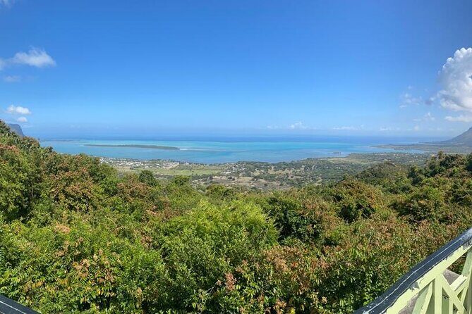 All Inclusive Full Day Tour: Chamarel Rhumrie,7-Coloured & Lunch - Black River Gorges National Park: a quick monkey encounter