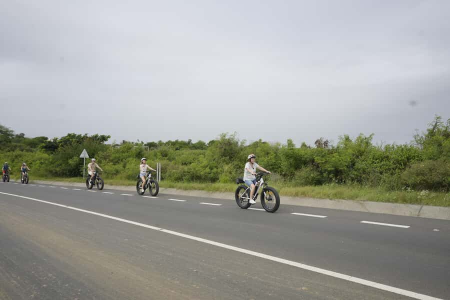 Authentic North East Coast E-bike Guided Tour - Temple visits: Hindu landmarks with real atmosphere