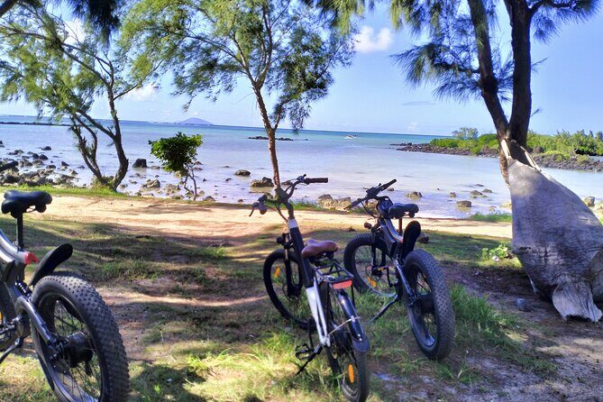 Authentic North East Coast E-bikes Guided Tour - Practical notes that actually affect your day