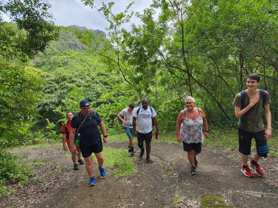 Black River: Guided Hike in the Black River Gorges Valley - Key things you’ll notice right away