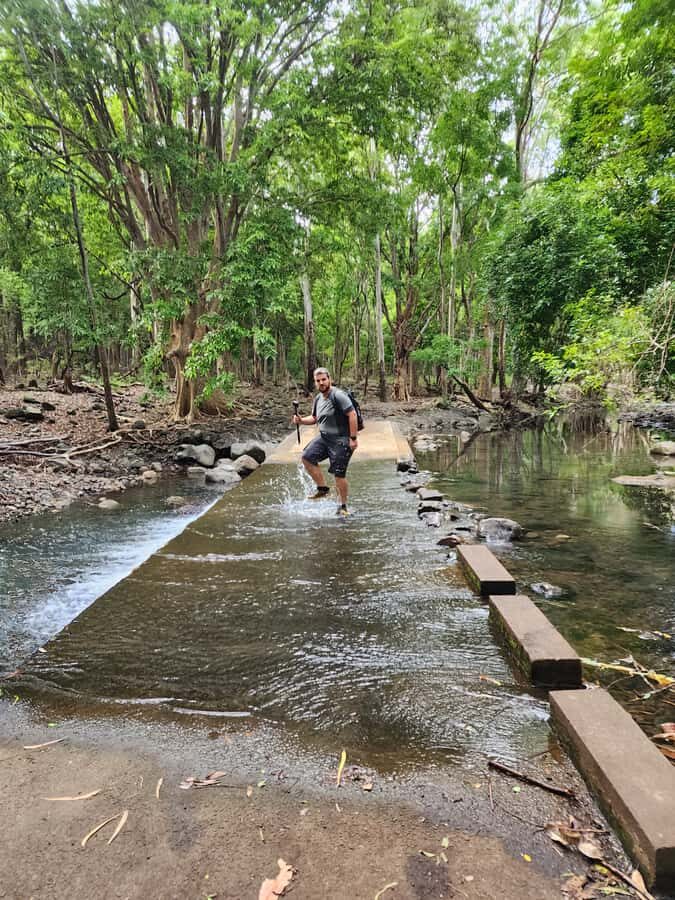 Black River: Guided Hike in the Black River Gorges Valley - Black River Gorges Valley: the views you’re walking toward
