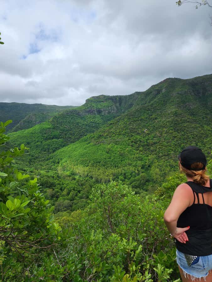 Black River: Guided Hike in the Black River Gorges Valley - Up the slope, over the roots: what the guided route feels like