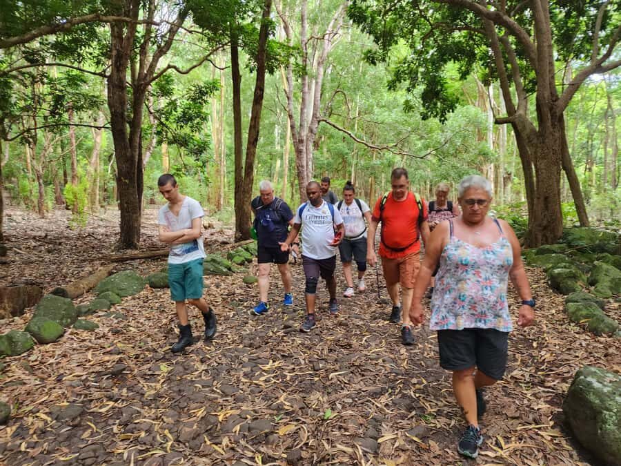 Black River: Guided Hike in the Black River Gorges Valley - Price and value of a $76 hike with snacks included