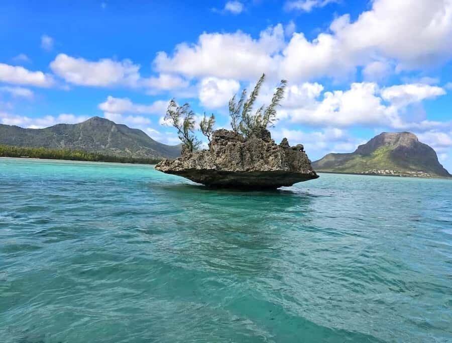 Black River: Swim with Dolphin Speed Boat Tour with lunch - Getting from Flic en Flac to Île aux Bénitiers without losing your day