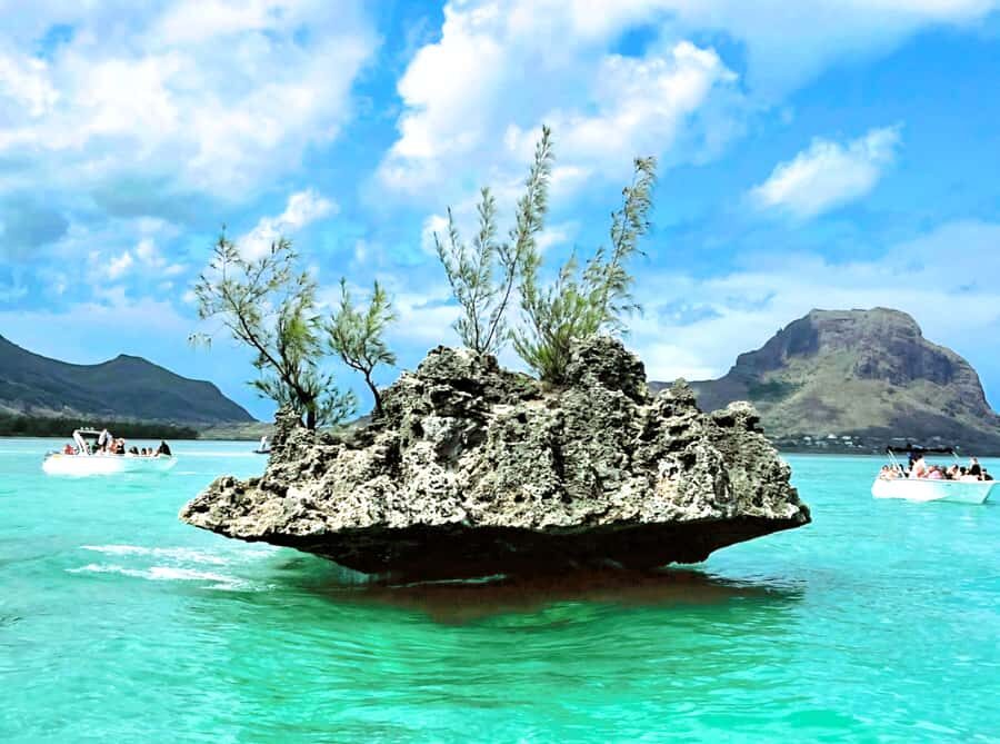 Black River: Swim with Dolphin Speed Boat Tour with lunch - Île aux Bénitiers lunch and beach break: BBQ, drinks, and a real island pause