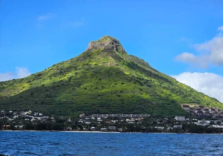 Black River: Swim with Dolphin Speed Boat Tour with lunch - The speedboat experience: fast, fun, and not exactly barefoot-friendly