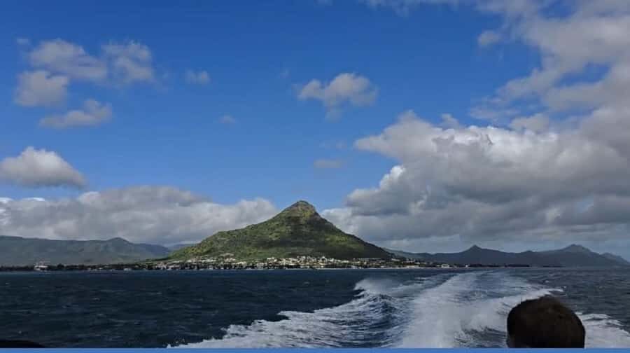 Black River: Swim with Dolphin Speed Boat Tour with lunch - What to bring (and what to watch) for a smoother day at sea