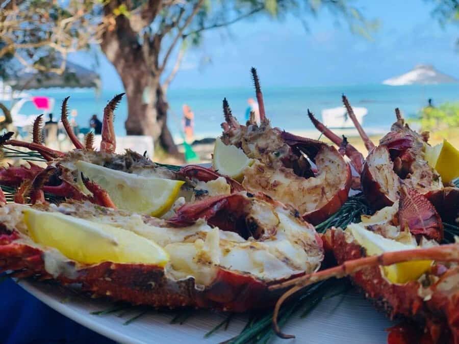 Blue bay: boat trip for ile au cerf (5 islands, barbecue) - Getting There: Meeting Point and What to Do First