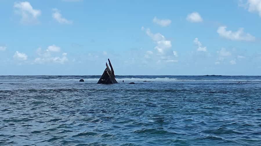 Blue Bay: Half-Day Snorkeling Trip with Creole Picnic Lunch - The 4-hour flow: two snorkels, one island lunch, no wasted motion
