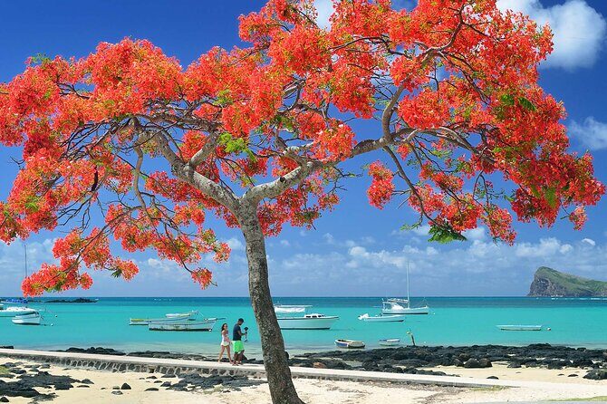 Car Hire for a Day with Driver - 8 Hours - Is $227.30 for up to 3 worth it?