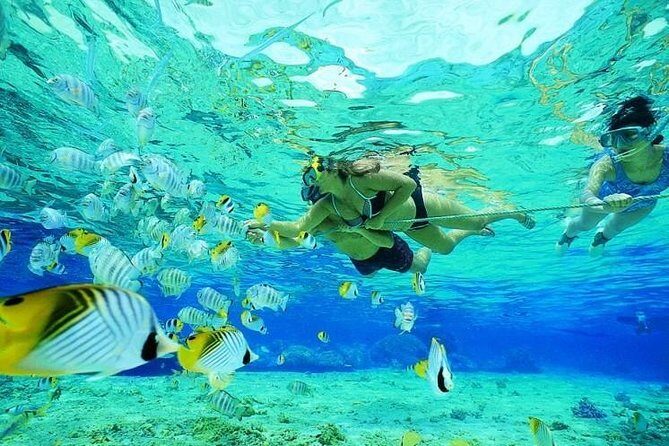 Catamaran Adventure Full Day: Ile aux cerfs,GRSE Waterfall,Snorkeling &BBQ Lunch - BBQ lunch on the water: good food, full drinks, simple pleasures