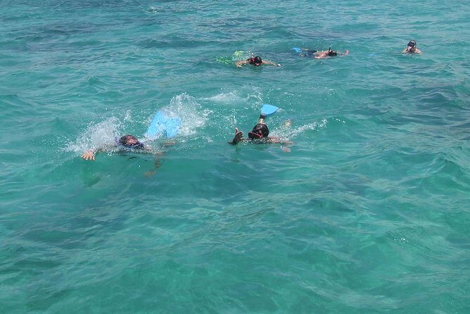 Catamaran Cruise: Isle aux Cerfs, Including BBQ Lunch, in Mauritius - Dolphins and wildlife: what to hope for without getting crushed