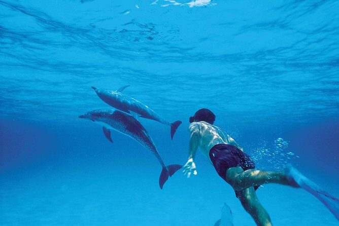 Catamaran Cruise to Ile Aux Bénitiers: Dolphin watch, Crystal Rock & Transfer - Morning pickup to Tamarin Bay: setting up the dolphin hunt