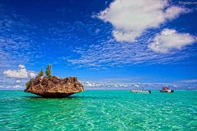 Catamaran Cruise to Ile Aux Bénitiers: Dolphin watch, Crystal Rock & Transfer - Should you book this catamaran to Ile aux Bénitiers?