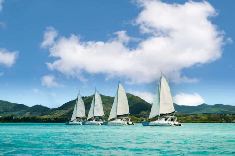 Catamaran Cruise to île aux Cerfs w Dolphins watch & Lunch - Dolphin watch: the thrill, the reality, and how to make it count
