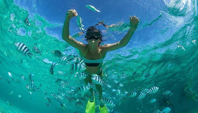 Catamaran Experience to Ile aux cerf: incl: Parasailing, Lunch, GRSE & Transfer - Trou d’Eau Douce start: transfers, timing, and what to bring