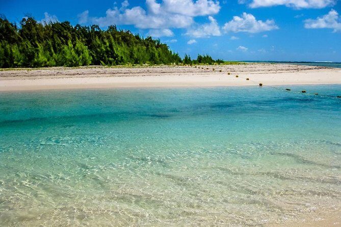 Catamaran Experience to Ile aux cerf: incl: Parasailing, Lunch, GRSE & Transfer - Parasailing over Ile aux Cerfs: included for adults, check timing and expectations