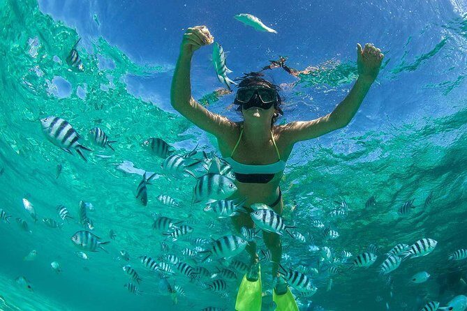 Catamaran to Ile aux Cerf with Parasailing, Tube Riding & Lunch - How This Full-Day Ile aux Cerfs Catamaran Actually Plays Out