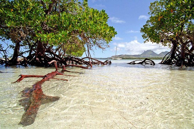 Catamaran to Ile aux Cerf with Parasailing, Tube Riding & Lunch - Pickup, Timing, and the Most Common Source of Friction