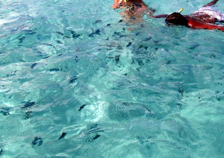 Catamaran Trip to Ile au Cerfs with Lunch and GRSE waterfall - Ile aux Cerfs Island: White-Sand Beach Time With Real Options