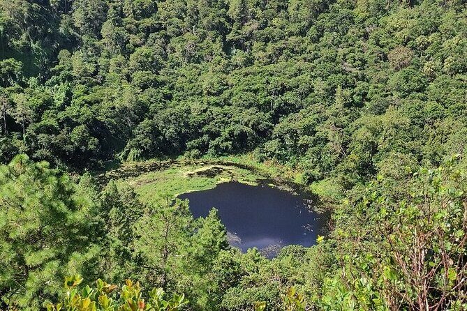 Chamarel 7 Colours and Waterfalls - Exclusive South West Tour - Black River Gorges National Park: viewpoints and waterfall sighting