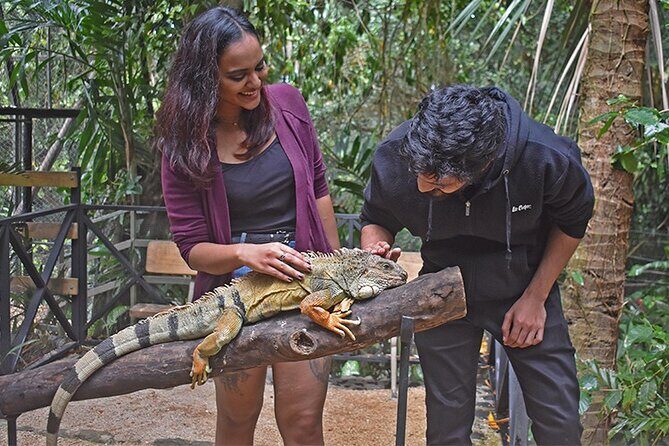 Crocodile Nature Park - Should you book Crocodile Nature Park and the Wild South?