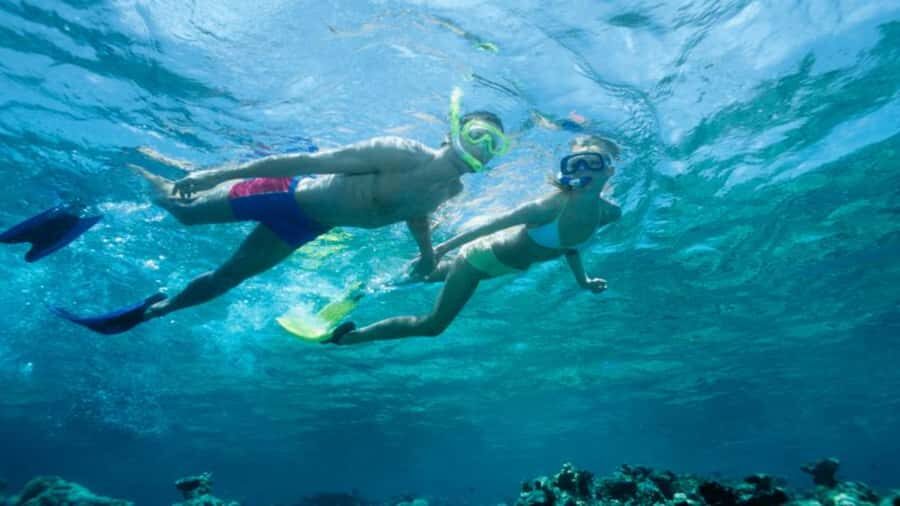 Discover Mauritius: Dolphin Watch, Snorkeling, BBQ Lunch - Snorkeling reality check: gear included, spots vary