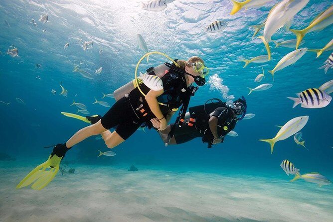 Discover Scuba Diving Experience - The timeline that keeps you calm: briefing, gear fitting, and practice